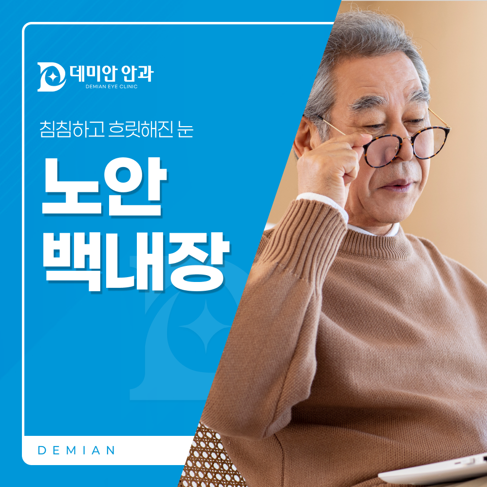 이미지 없음