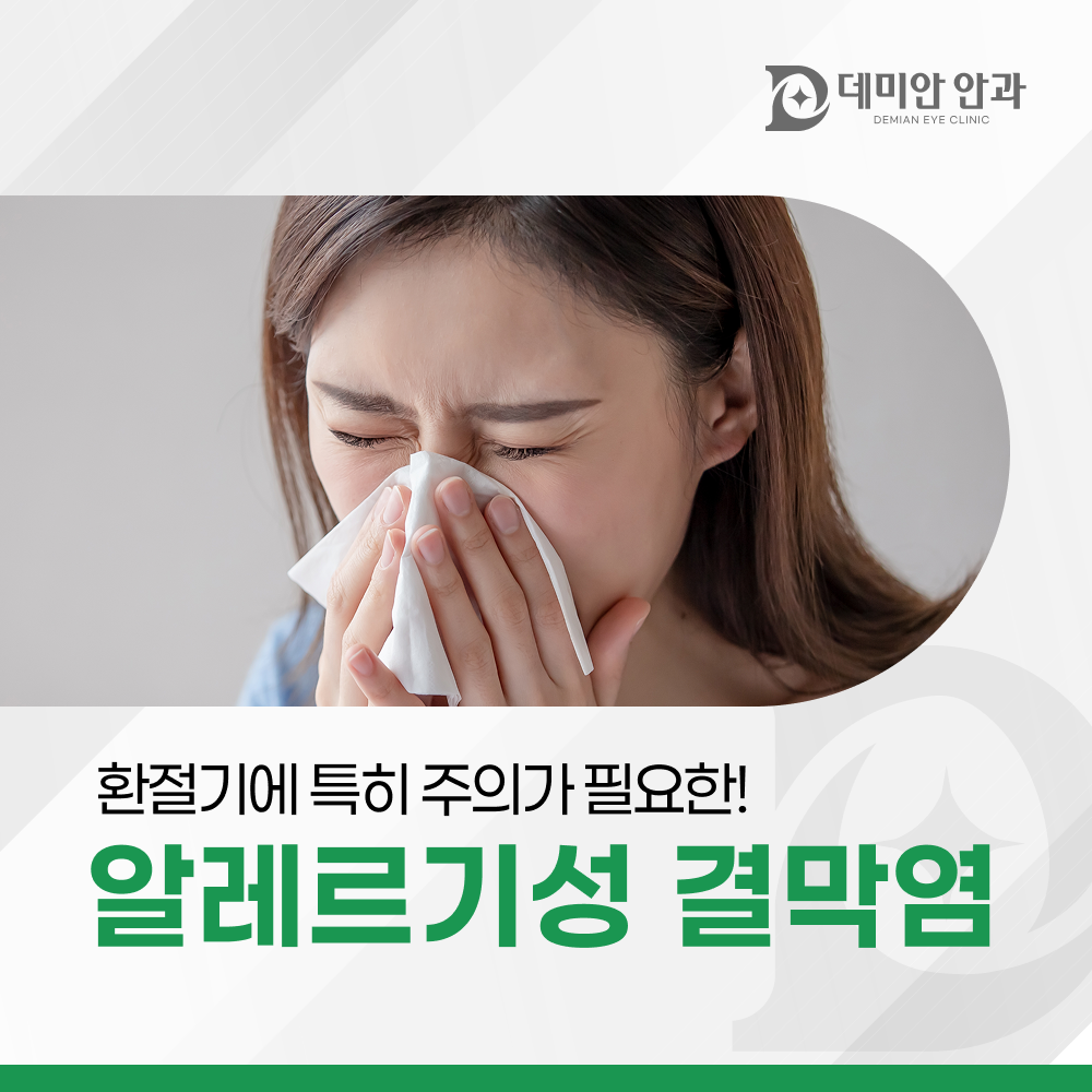 이미지 없음