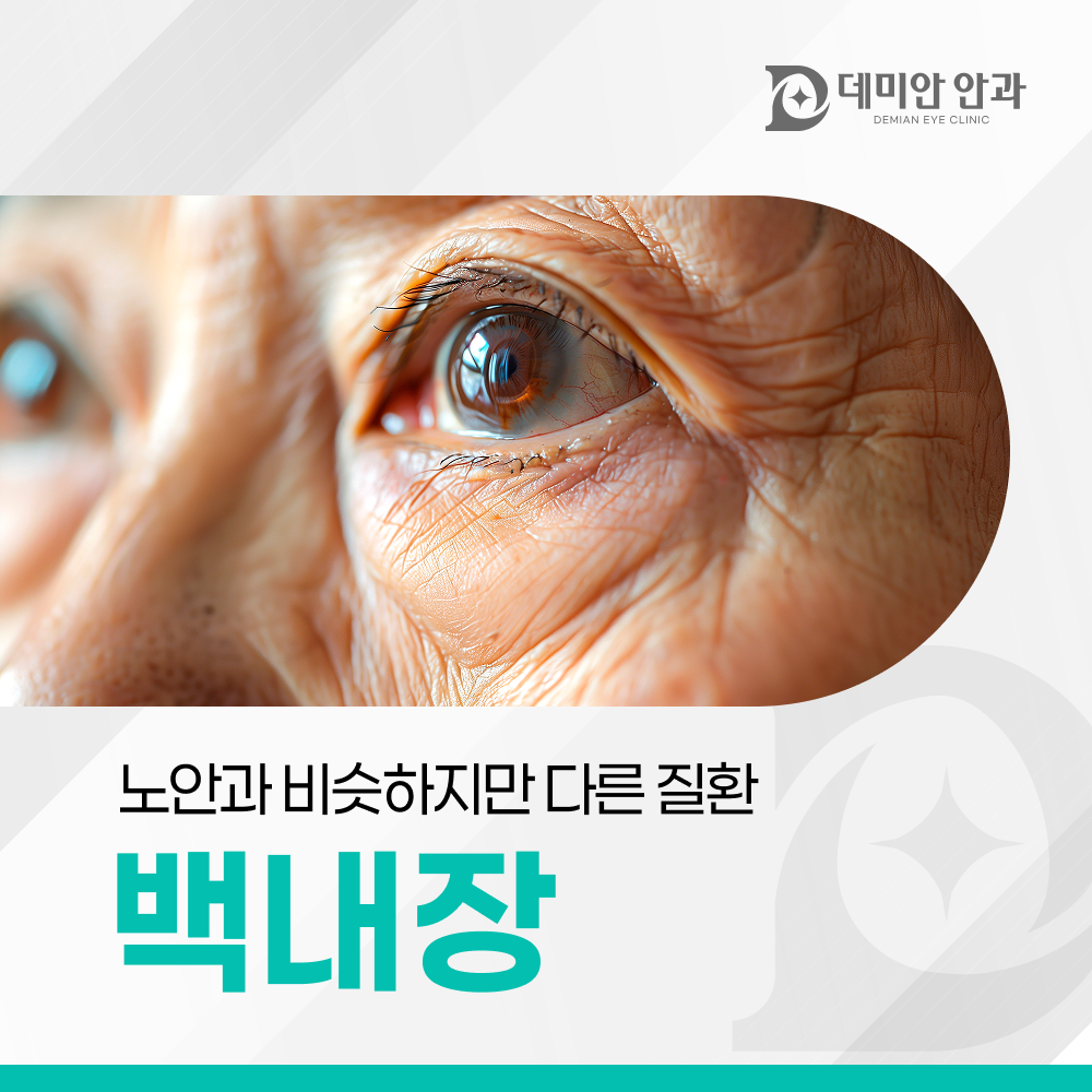 이미지 없음