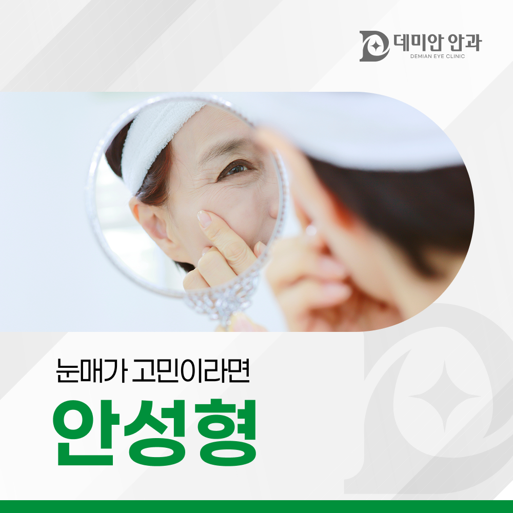 이미지 없음