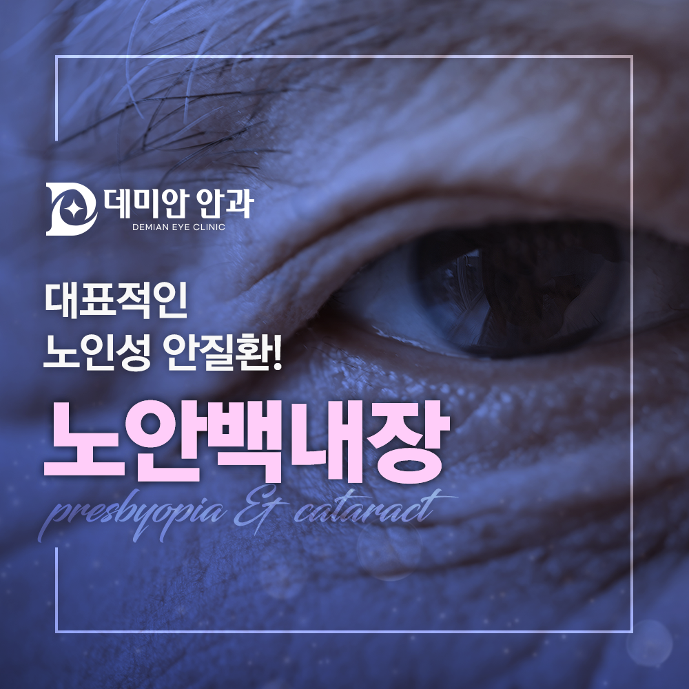 이미지 없음